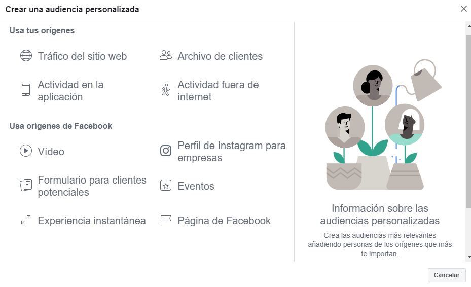Crear audiencia personalizada
