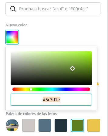Copiar codigo hex en Canva