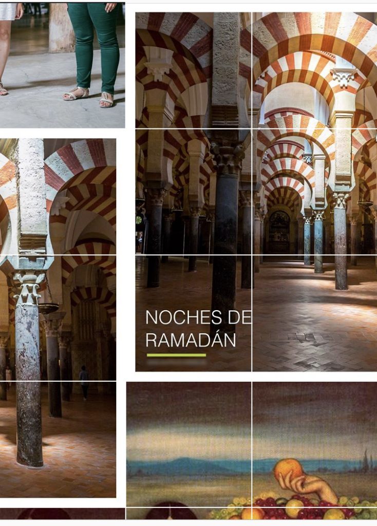 Feed tipo mosaico descuadrado